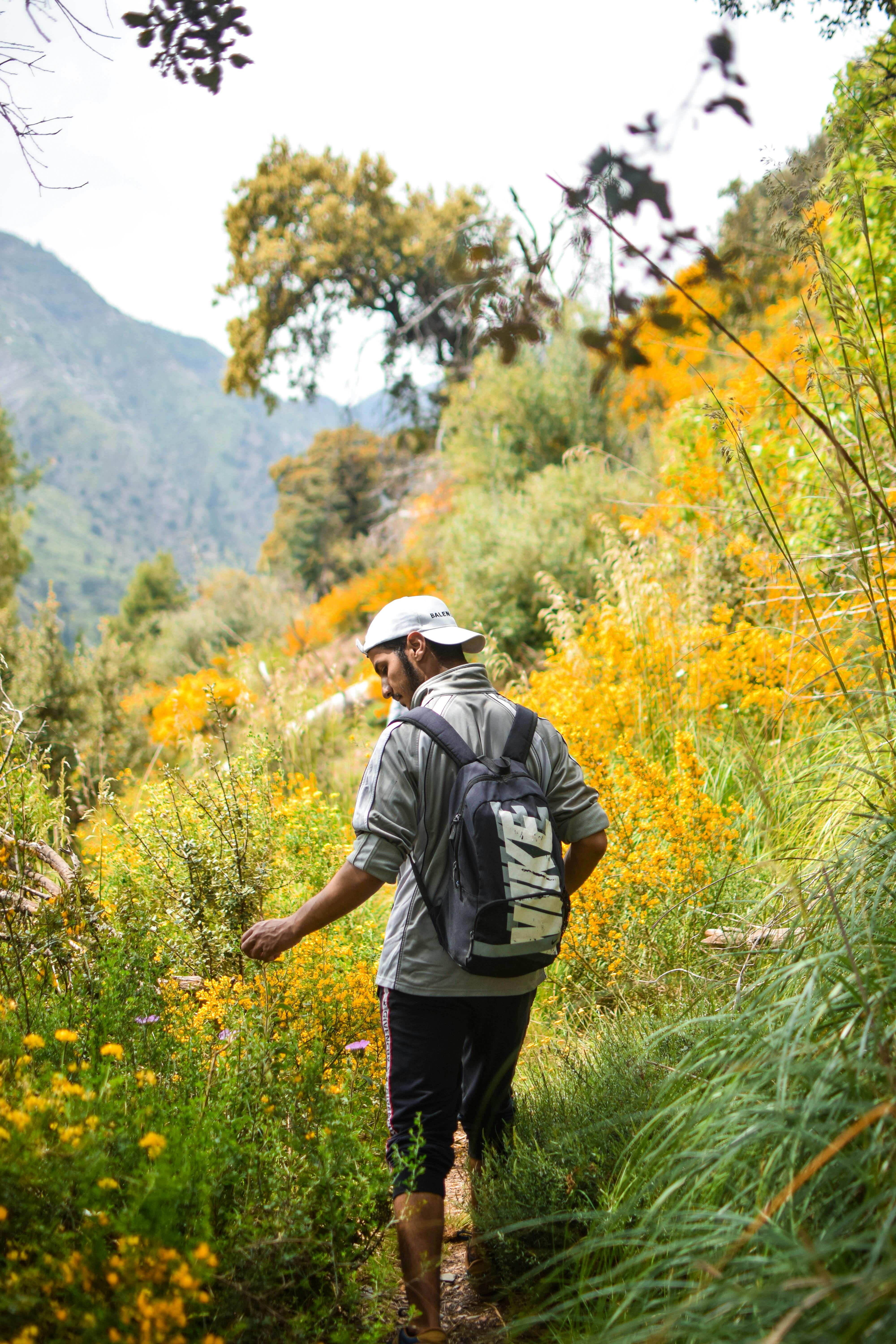 A man with a backpack hikes through vibrant flora in rural Algeria, showcasing natural beauty.